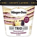 Häagen-Dazs Trio - Belgian Chocolate, Vanilla & Blackberry Ice Cream