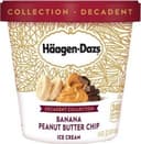 Banana Peanut Butter Chip Ice Cream