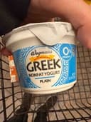 Nonfat Yogurt Plain