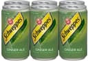 Ginger ale