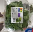 Basil