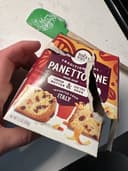 Traditional panettone