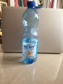 Vichy Célestins
