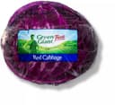 Red cabbage
