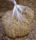 Organic Steel Cut Oats