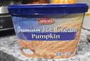 Premium Ice Cream Pumpkin