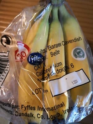 Bananes Cavendish
