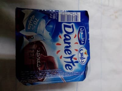 Danette Chocolat - Délice - 100 g