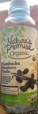 Kombucha Blackberry Vanilla