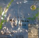 Mung Bean Sprouts