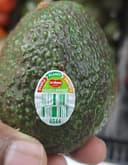 Large hass avocado