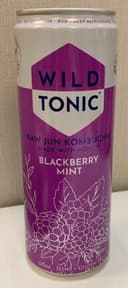 BlackBerry Mint Kombucha