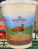 Honey Yogurt