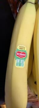 Cavendish Bananas