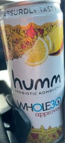 Probiotic Kombucha