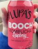 Booch Kombucha Raspberry