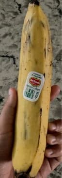 Guatemala plantains