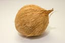 Fresh Coconut
