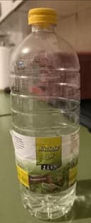 Alkoholni ocat