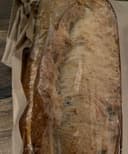 Ciabatta (310g)