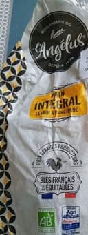 Pain integral