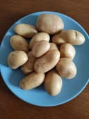pommes de terre gourmande d' Anjou