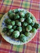 Choux de Bruxelles