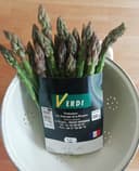Asperges