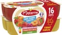MATERNE Compotes SSA Multivariétés 16x100g Format Familial