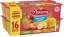 MATERNE Compotes SSA Multivariétés 16x100g Format Familial