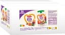 MATERNE Compotes Graines Lin&Chia Pomme Pêche Passion 36x90g