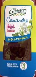 Coriandre