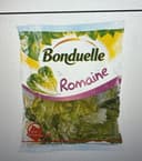 Cos ou la Laitue Romaine