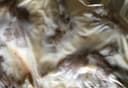 Confit De Canard