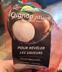 Oignons jaune