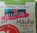 Mâche