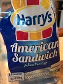 American Sandwich nature