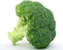 Chou Brocoli Bio
