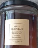 Nuit à Versailles