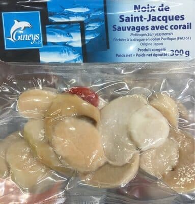 Noix de Saint-Jacques sauvage avec corail