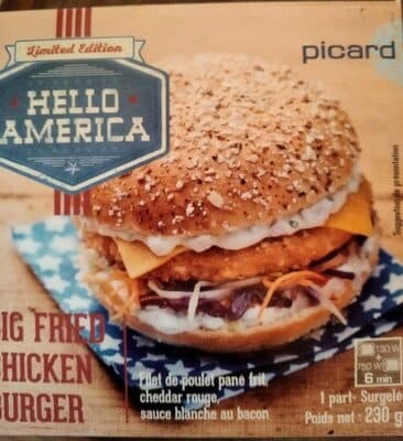 Big fried chicken burger