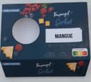 Sorbet artisan mangue