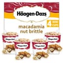 4 Minipots de glace - Macadamia Nut Brittle
