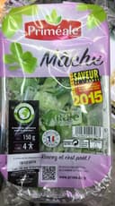 Mâche