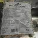 Pleurotes baby