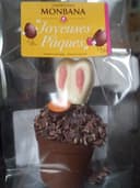 Montage lapin pot
