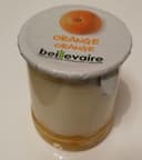 Yaourt nature sur fruits Orange