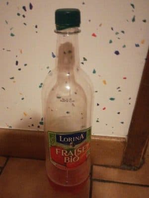Fraise bio