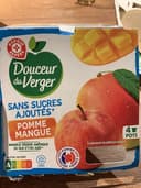 Compote pomme mangue