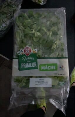 mâche